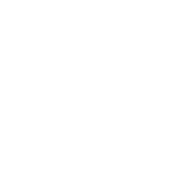 asset 11